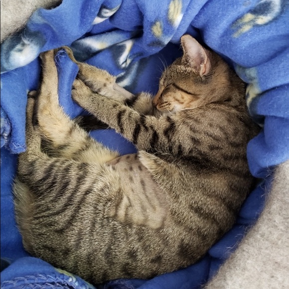 Alex & Ali - Picture 7 of 9